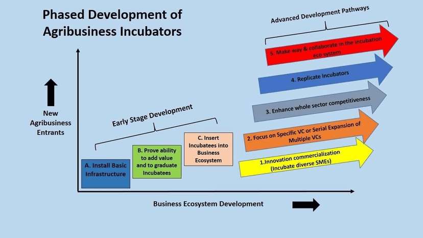 Top 5 Innovators Award